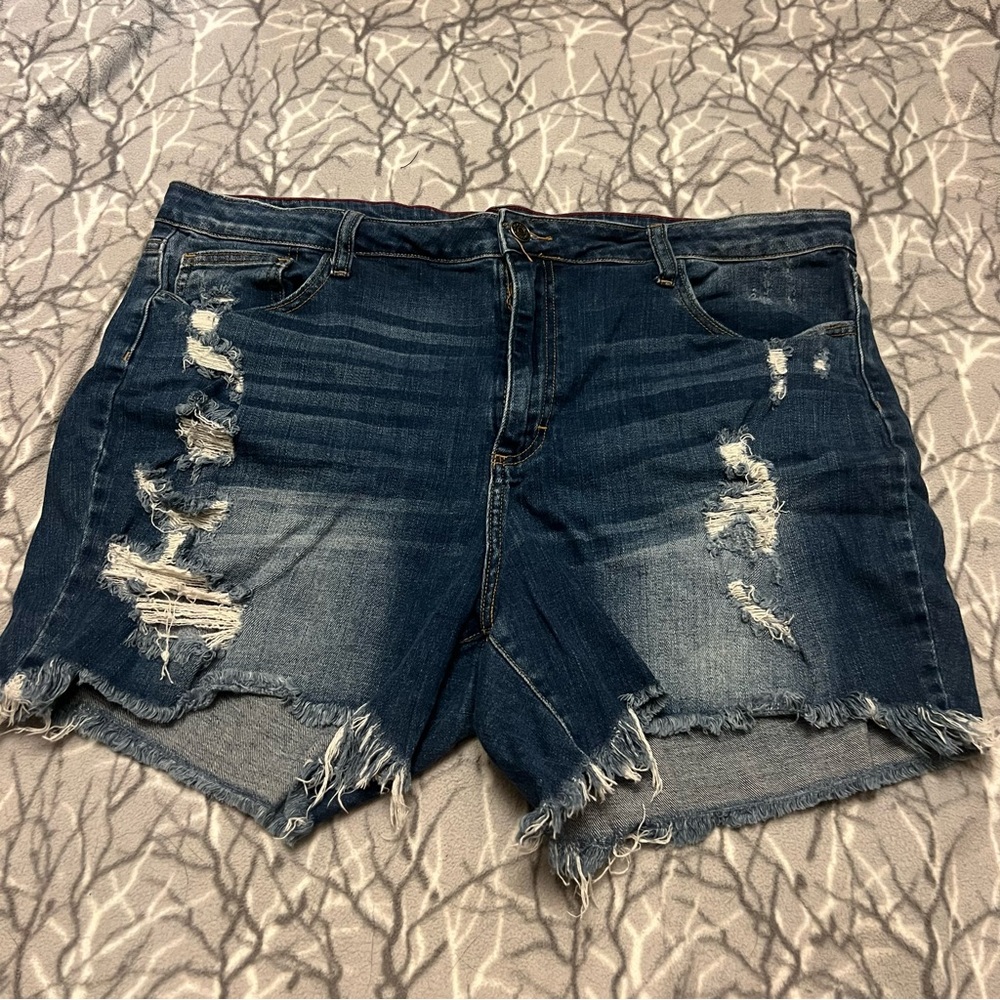 Ms Cello Jean Shorts 3X